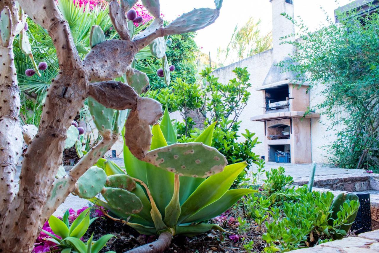 Вилла Villino Agave Сан-Вито-Ло-Капо Экстерьер фото